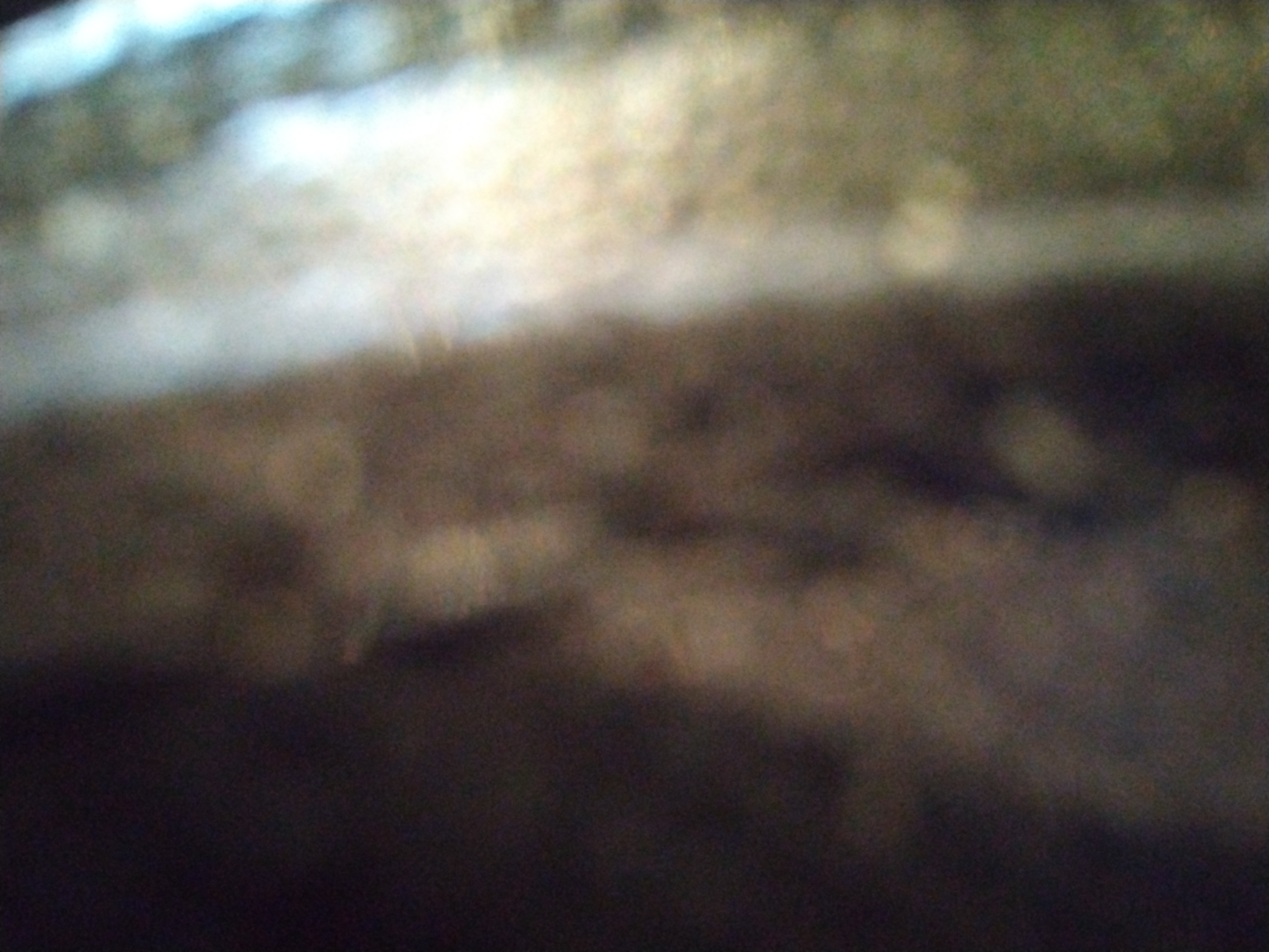 Looki L1 photo