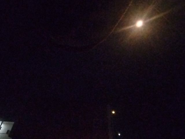 Looki L1 photo